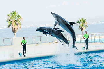 海洋世界海之中道第 19 张图片
