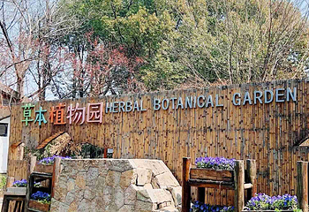 同里国家湿地公园第 65 张图片