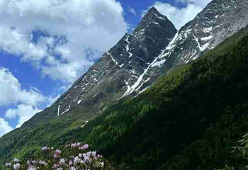 四姑娘山景区第 227 张图片