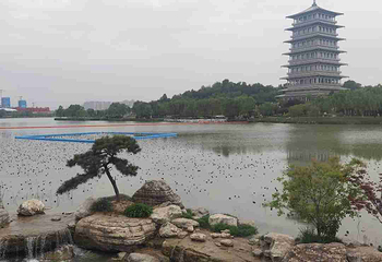 西安世博园第 168 张图片