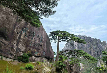 黄山风景区第 331 张图片