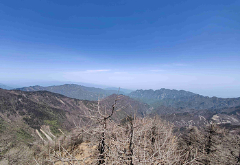 太白山国家森林公园第 34 张图片