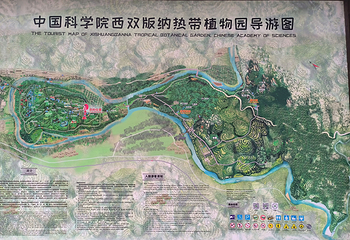 中国科学院西双版纳热带植物园第 146 张图片