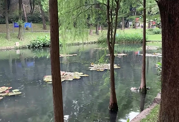 越秀公园第 241 张图片