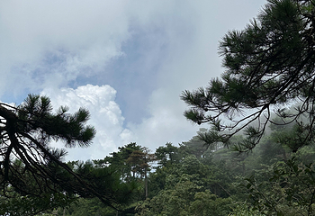 庐山风景名胜区第 343 张图片