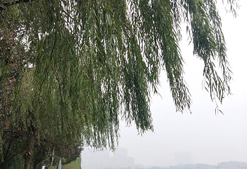 南湖第 130 张图片