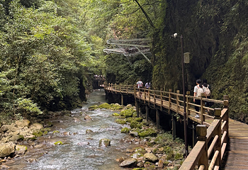 张家界大峡谷第 108 张图片