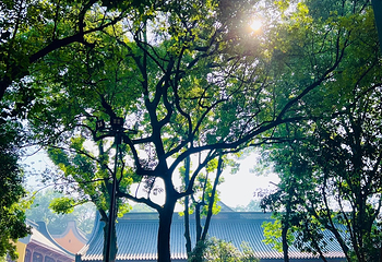 灵隐寺第 152 张图片