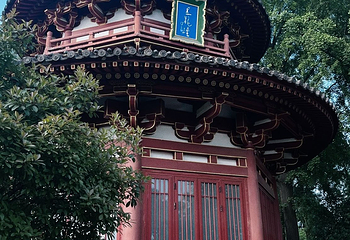 兴庆宫公园第 65 张图片