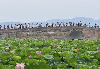西湖风景名胜区第 364 张图片