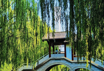 团结湖公园第 27 张图片