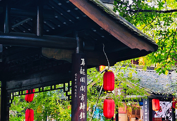 锦里古街第 55 张图片