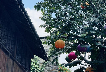 盐官潮乐之城第 105 张图片