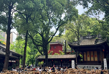 铁像寺水街第 21 张图片
