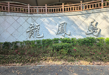 万绿湖风景区第 31 张图片