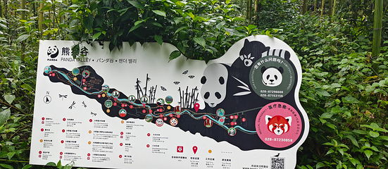 熊猫谷第 47 张图片