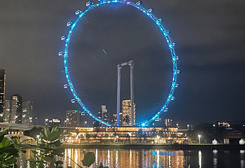 新加坡滨海湾花园第 502 张图片