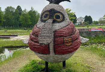 杭州湾国家湿地公园第 30 张图片