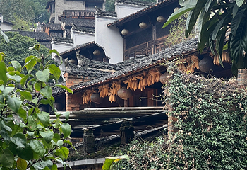 婺源篁岭景区第 357 张图片