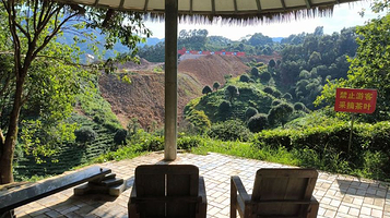 广西昭平县故乡茶博园