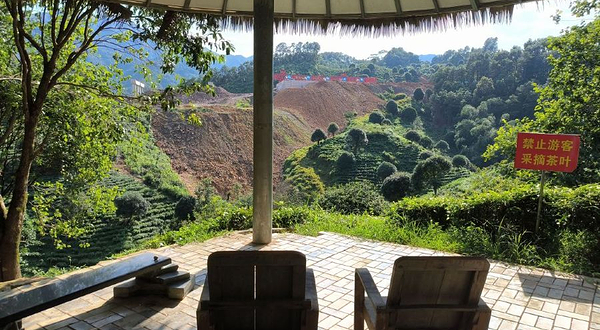 广西昭平县故乡茶博园
