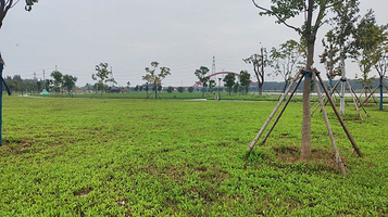 大运河湿地公园