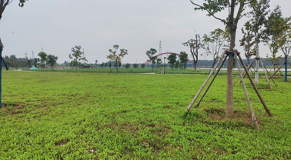 大运河湿地公园