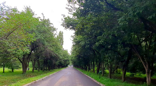 Boyaryshnikovaya Alleya