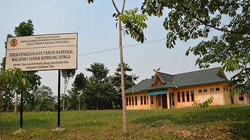 泰索尼洛国家公园