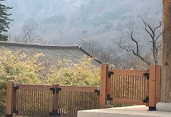 新兴寺第 16 张图片