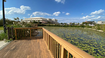 Toyosaki Seaside Park