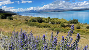 Tapataia Mahaka Peter's Lookout (Lake Pukaki Viewpoint) (Mount Cook Road)