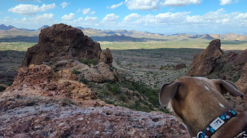 Treasure Loop Trail #56