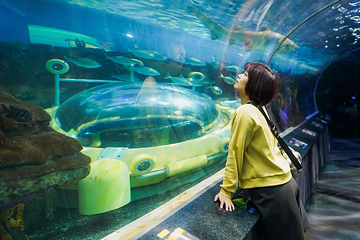 加拿大里普利水族馆第 23 张图片