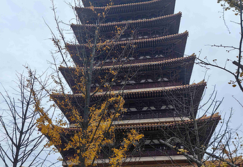 牛首山文化旅游区第 516 张图片