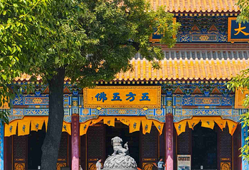 大兴善寺第 18 张图片