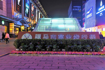 骡马市商业步行街第 4 张图片