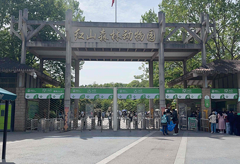 红山森林动物园第 295 张图片