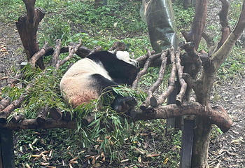 红山森林动物园第 305 张图片