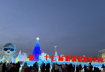哈尔滨冰雪大世界第 357 张图片