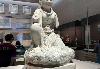 上海博物馆(东馆)第 87 张图片