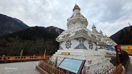 九寨沟风景区第 307 张图片