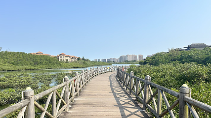 富力红树湾湿地公园第 55 张图片