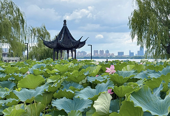 石湖景区第 98 张图片
