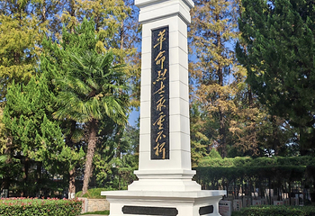 亭林园第 48 张图片