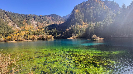 九寨沟风景区第 471 张图片