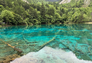 九寨沟风景区第 329 张图片