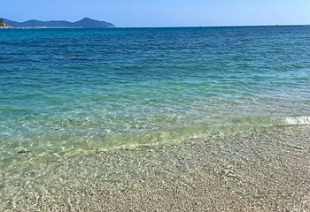 小东海第 76 张图片