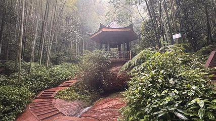 蜀南竹海第 65 张图片