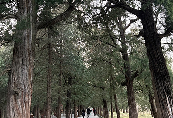 天坛公园第 221 张图片